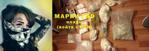 молекула духа Елабуга
