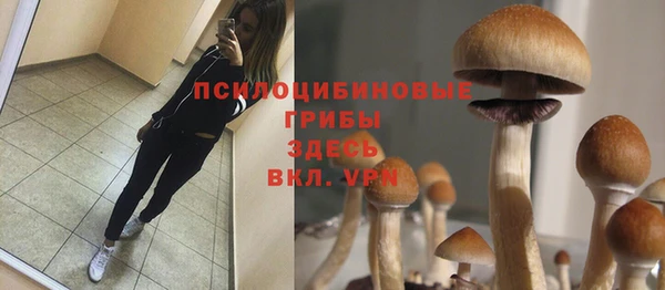 молекула духа Елабуга