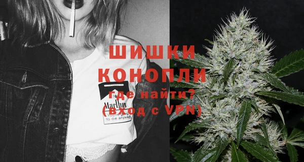 ПСИЛОЦИБИНОВЫЕ ГРИБЫ Ельня