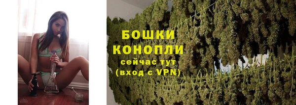 молекула духа Елабуга