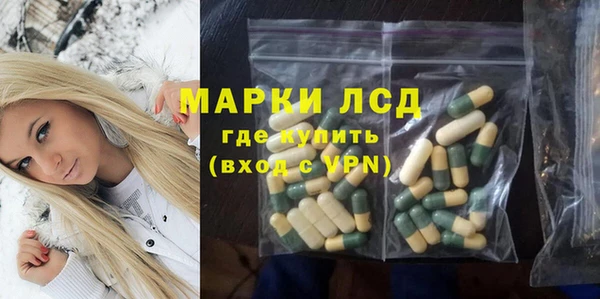 ПСИЛОЦИБИНОВЫЕ ГРИБЫ Ельня