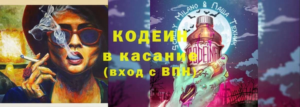ПСИЛОЦИБИНОВЫЕ ГРИБЫ Ельня