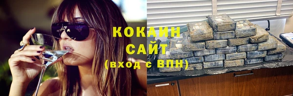 ПСИЛОЦИБИНОВЫЕ ГРИБЫ Ельня