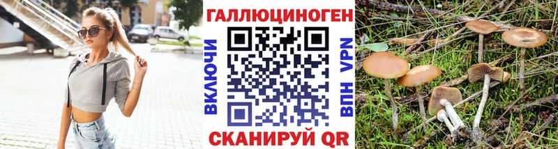 Псилоцибиновые грибы ЛСД  Купить где  Суворов 